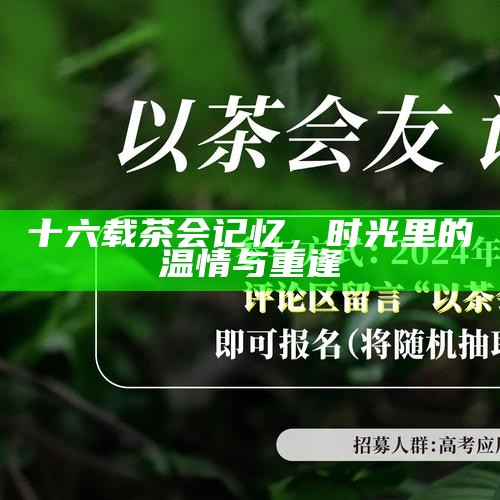 十六载茶会记忆，时光里的温情与重逢