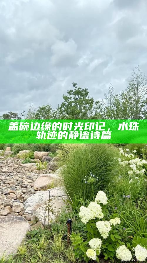 盖碗边缘的时光印记，水珠轨迹的静谧诗篇